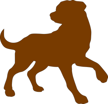 Dog, Brown, Outline, Domestic, Animal - Contorno De Un Perro (353x340)