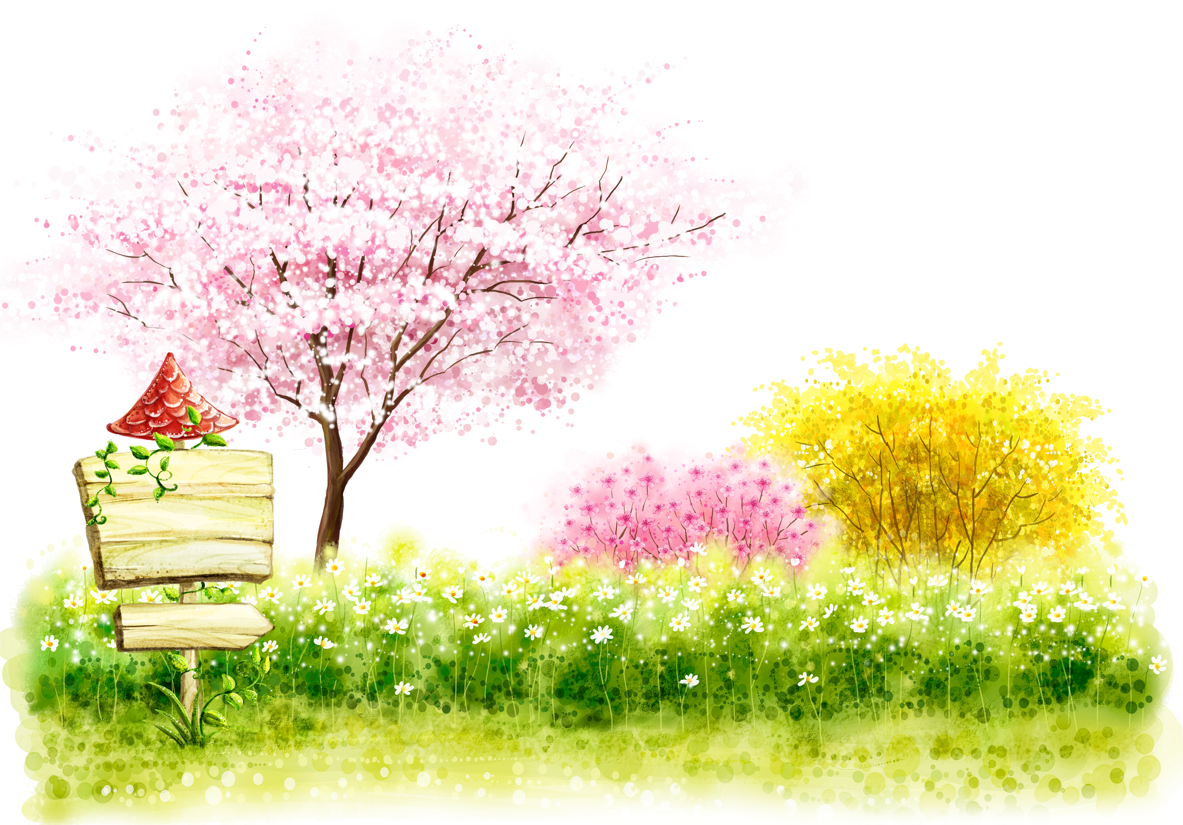 Cartoon Cherry Blossom Illustration - Cartoon Cherry Blossom Illustration (4961x3508)