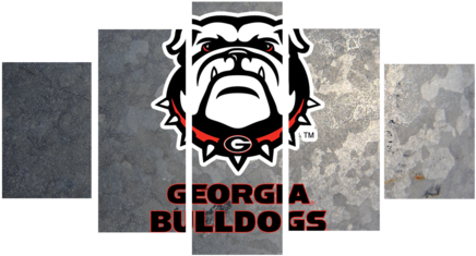 Hd Printed Georgia Bulldogs Football Logo 5 Pieces - Ncaa Georgia Bulldogs Country Flag With Grommets 36 (480x300)