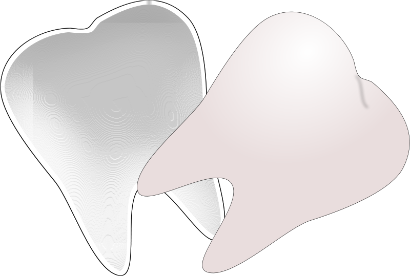 Tooth Clip Art (800x539)