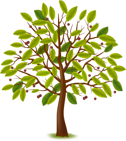 Tree Clipart Clipart Nursery Tree - Arbre Estacions (406x453)