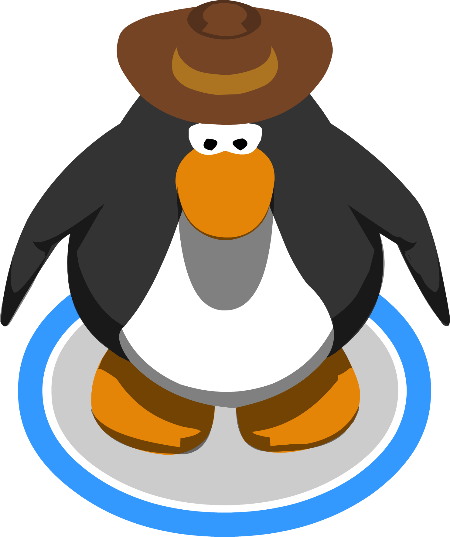 Petey K's Old Cowboy Hat In-game - Club Penguin 3d Penguin (1482x1768)