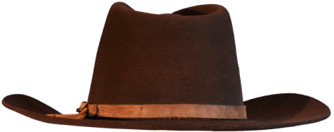Cowboy Hat Clipart Safari - Cowboy Hat (480x272)