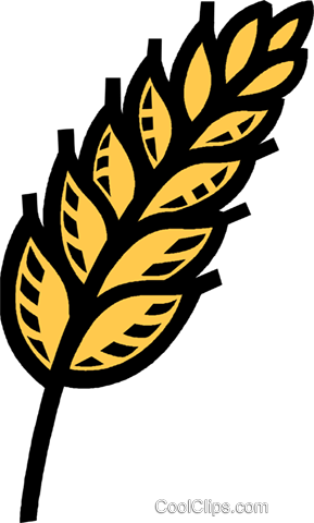 Grains Clipart Wheat Stem - Korn Getreide Clipart (289x480)