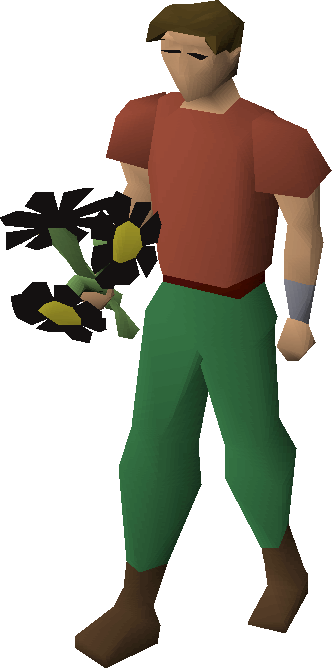 A Player Wielding A Posy Of Black Flowers - Fury Ornament Kit Osrs (332x668)