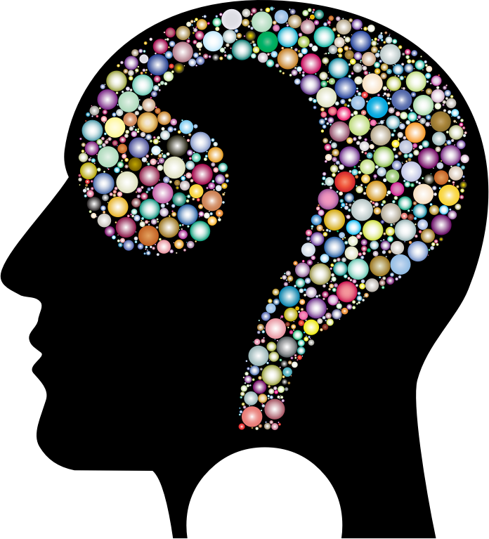 Medium Image - Question Mark In Head (696x767)