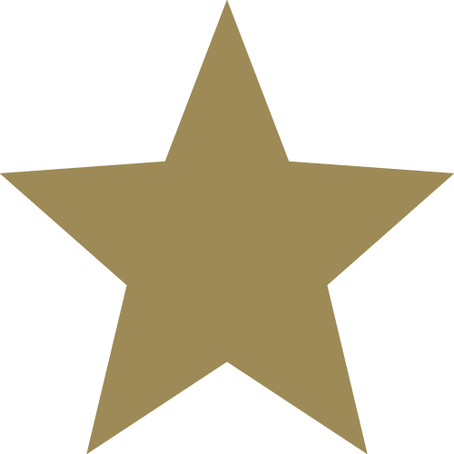 Stella D'ora Del Coni Al Merito Sportivo Scudetto 7 - Sharing A Shell Characters (500x500)