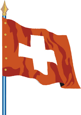 Flag Of Switzerland (458x458)