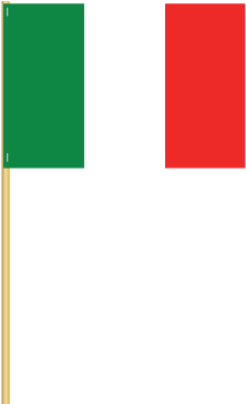 Italy Cotton Stick - Italian Flag On A Stick (460x368)