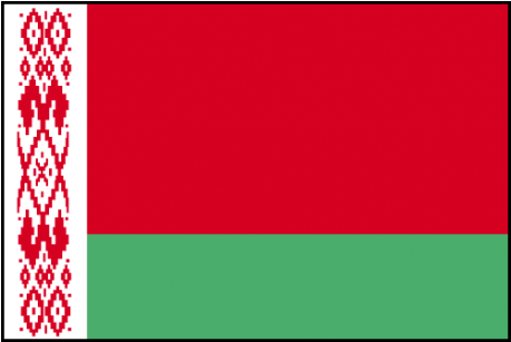 Drapeau Biélorussie - Flag Of Belarus (458x458)