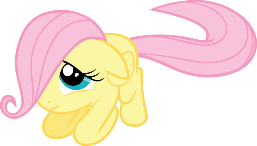 My Little Pony Fluttershy Filly (900x511)