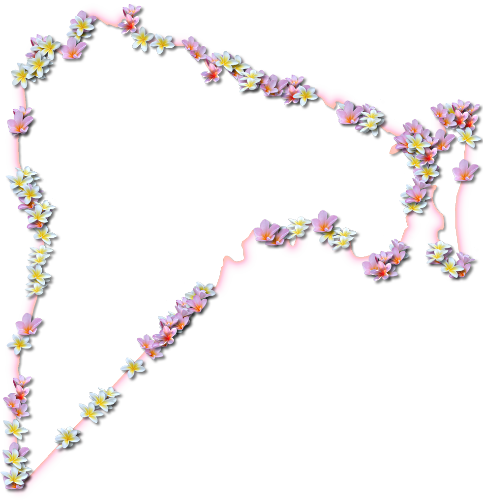 A Map Of Nassau With A Coral Color Glow Border And - Map (982x1024)