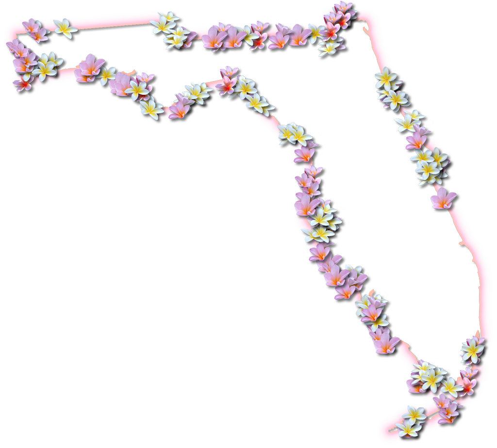 Florida "fancy Frame" Style - Spring Flowers In Florida (1024x922)
