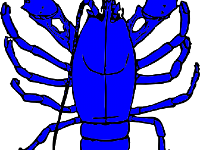Lobster Clipart Crayfish - Cafepress Red Lobster Queen Duvet (640x480)