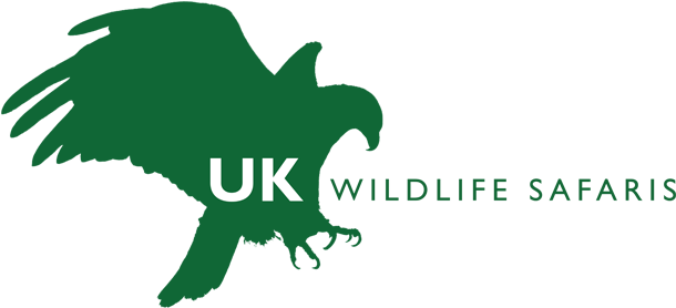 Uk Wildlife Safaris - Golden Eagle Wings (646x309)