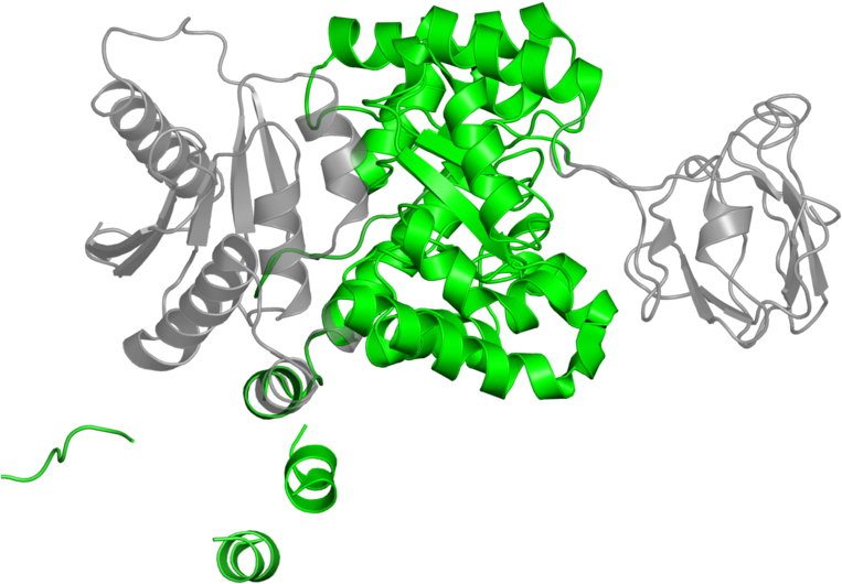 <div Class='caption-body'>1 Copy Of Scop Domain - <div Class='caption-body'>1 Copy Of Scop Domain (800x800)