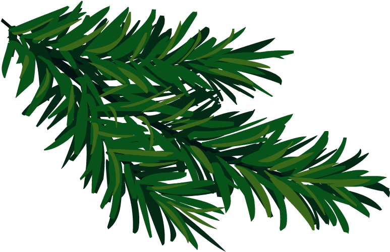 Christmas Tree Branch, Download To Your Desktop Makayla - Illustration (1100x800)