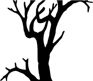 Spooky Tree Png (480x272)