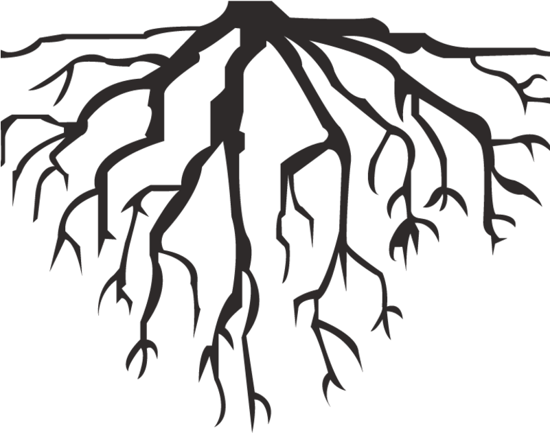 Tree without roots. Корни силуэт. Дерево с корнями вектор. Силуэт дерева на прозрачном фоне. Дерево с корнями силуэт