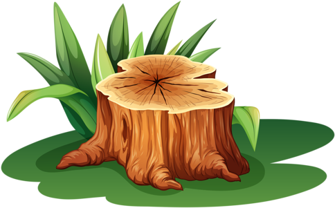Пенек Png - Clipart Of Tree Branches (500x300)