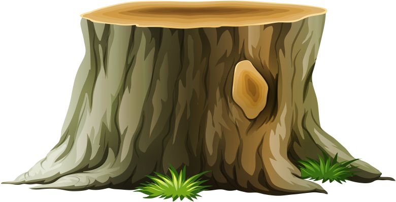 Pin Tree Stump Clipart - Clip Art (800x477)