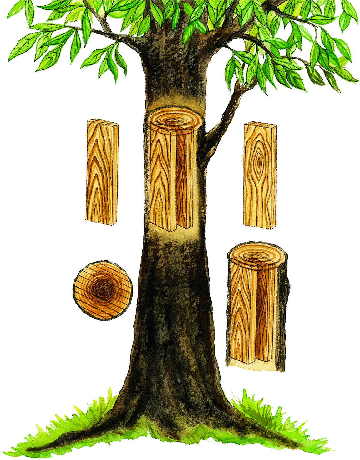 Our Solid Hardwood Pieces Are Made Up Of Many Pieces - Our Solid Hardwood Pieces Are Made Up Of Many Pieces (1170x1514)