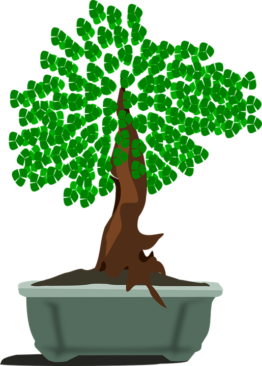 Collection Of Tree Stump Cliparts - ตัด แปะ กระดาษ รูป ต้นไม้ (515x720)