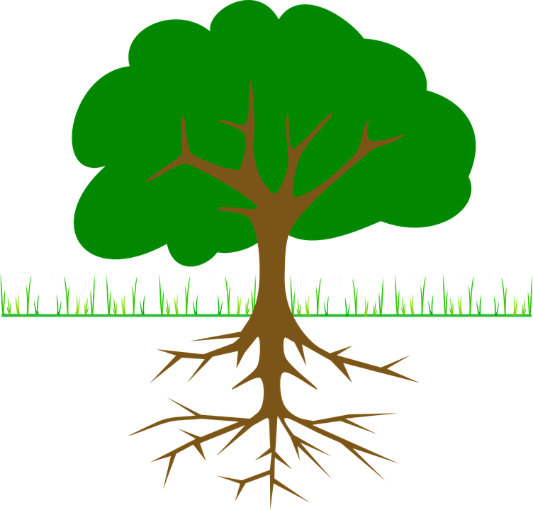 Roots Clipart Tall Tree Stump - Tree Clip Art (752x720)