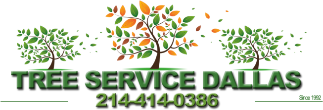 Dallas Tree Stump Grinding - Tree Service Dallas (673x224)