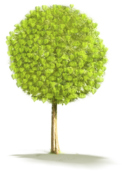 Large Tree Png Clipart - Animated Small Tree Png (433x600)