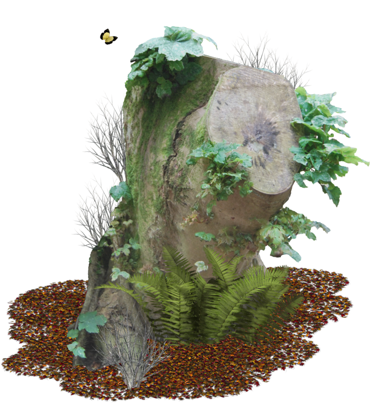 Tree Stump Png - Rock Tree Png (842x948)