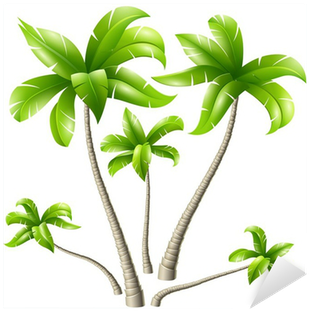 Vinilo Pixerstick Conjunto De Las Palmas De Coco • - Coconut Tree Design (400x400)