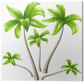 Cuadro En Lienzo Conjunto De Las Palmas De Coco • Pixers® - Coconut Tree Design (400x400)