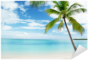 Vinilo Pixerstick Mar Caribe Y Palma De Coco • Pixers® - Solid Outdoor Camping Bed Folding Portable Military (400x400)