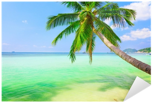 Vinilo Pixerstick Mar Con La Palma De Coco • Pixers® - ภาพ พื้น หลัง ต้น มะพร้าว (400x400)