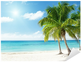 Vinilo Pixerstick Mar Del Caribe Y Palmas De Coco • - Caribbean Sea (400x400)