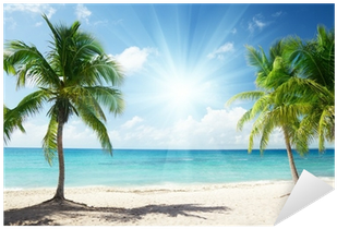Vinilo Pixerstick Mar Del Caribe Y Palmas De Coco • - New 2018 Studio Backgraound (400x400)