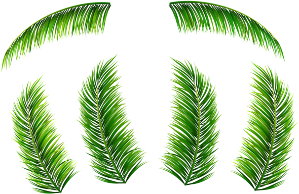 Hojas De Palma Png Clip Art Imagen - Hojas De Palma Png (600x392)