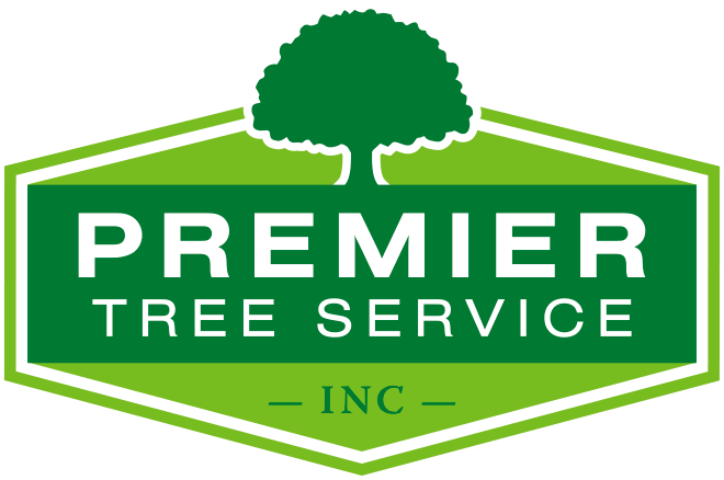 Tree Service Logo Design (660x438)