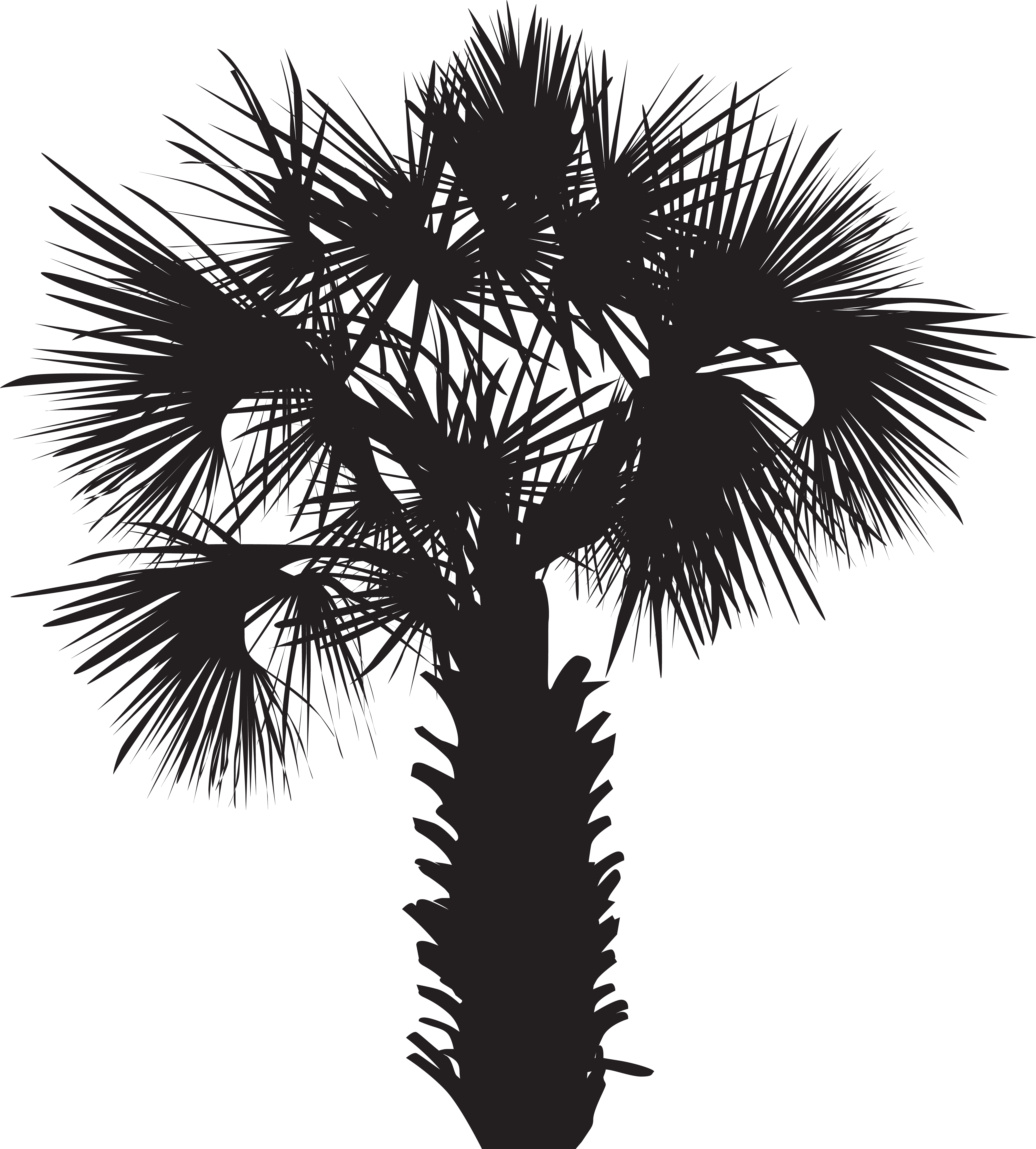 Palm Tree Silhouette Clip Art Png Image Gallery Yopriceville - Palm Tree Silhouette Clip Art Png Image Gallery Yopriceville (7290x8000)