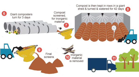 Illustration Of Green Bins Process - Green Bin (595x351)