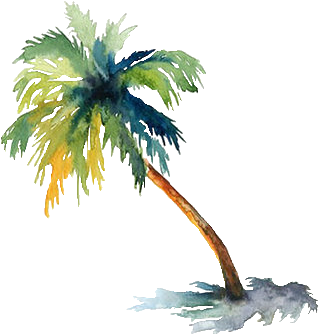 Instagramcom - Palm Tree Watercolor Png (500x400)