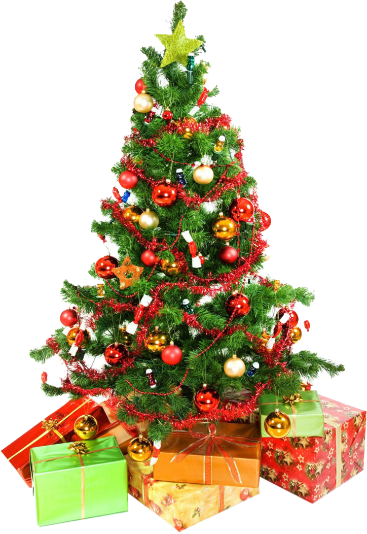 Xmas Tree Png 12 By Iamszissz - Christmas Tree For Whatsapp Dp (723x1104)