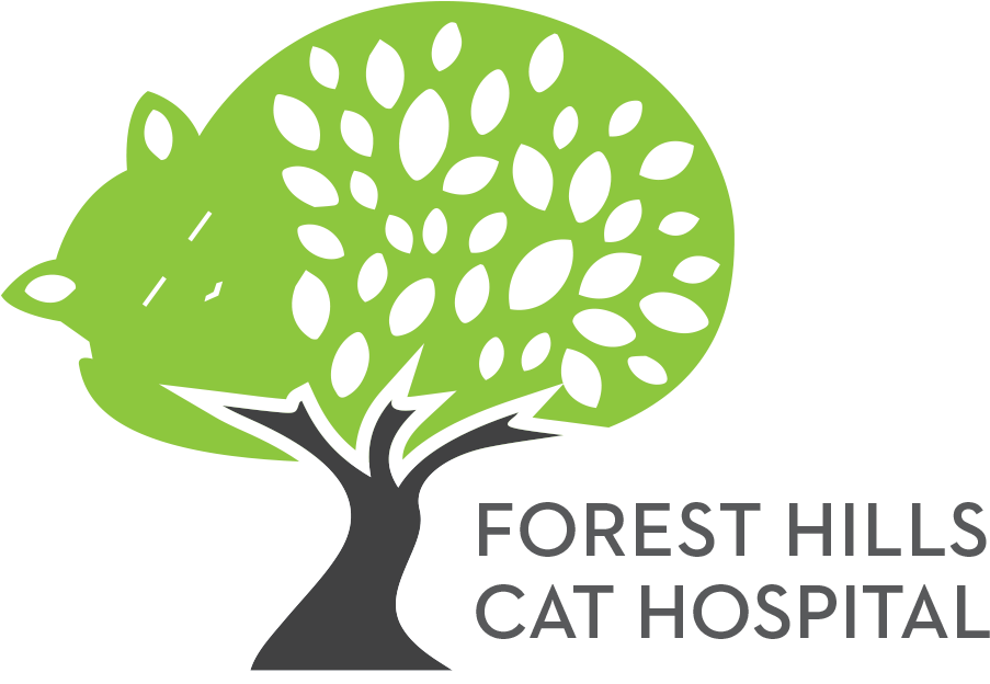 Graphic Design Cat Brand Clip Art - Illustration (914x629)