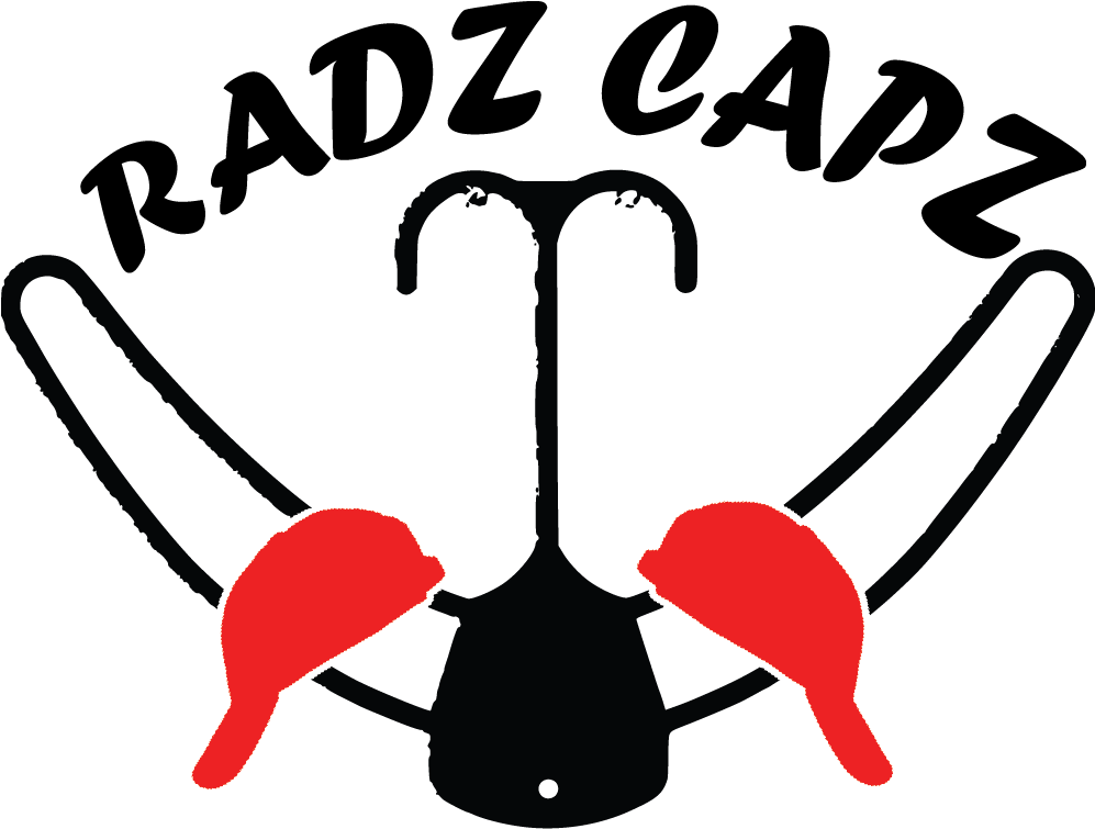 Radzcapz Closet Organizer - Professional Organizing (996x810)