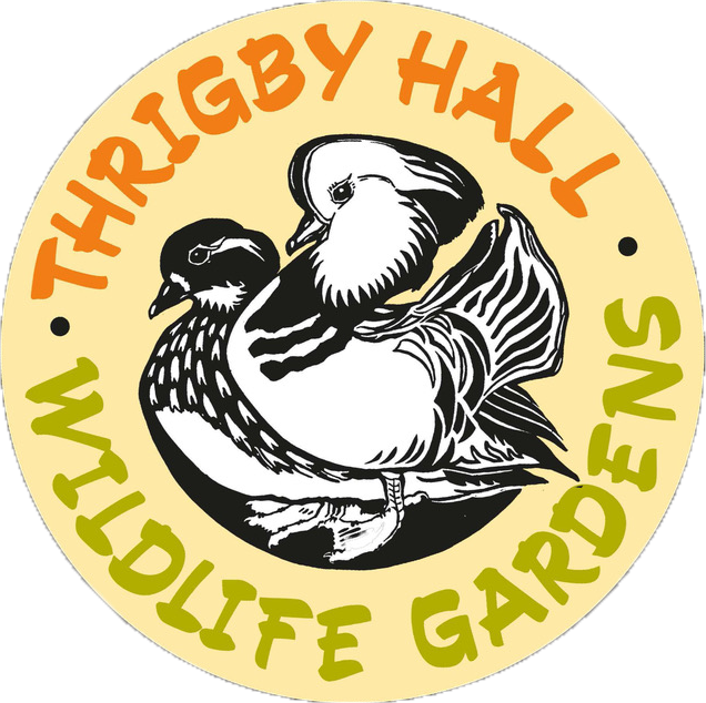 Logo - Thrigby Hall Wildlife Gardens (636x634)