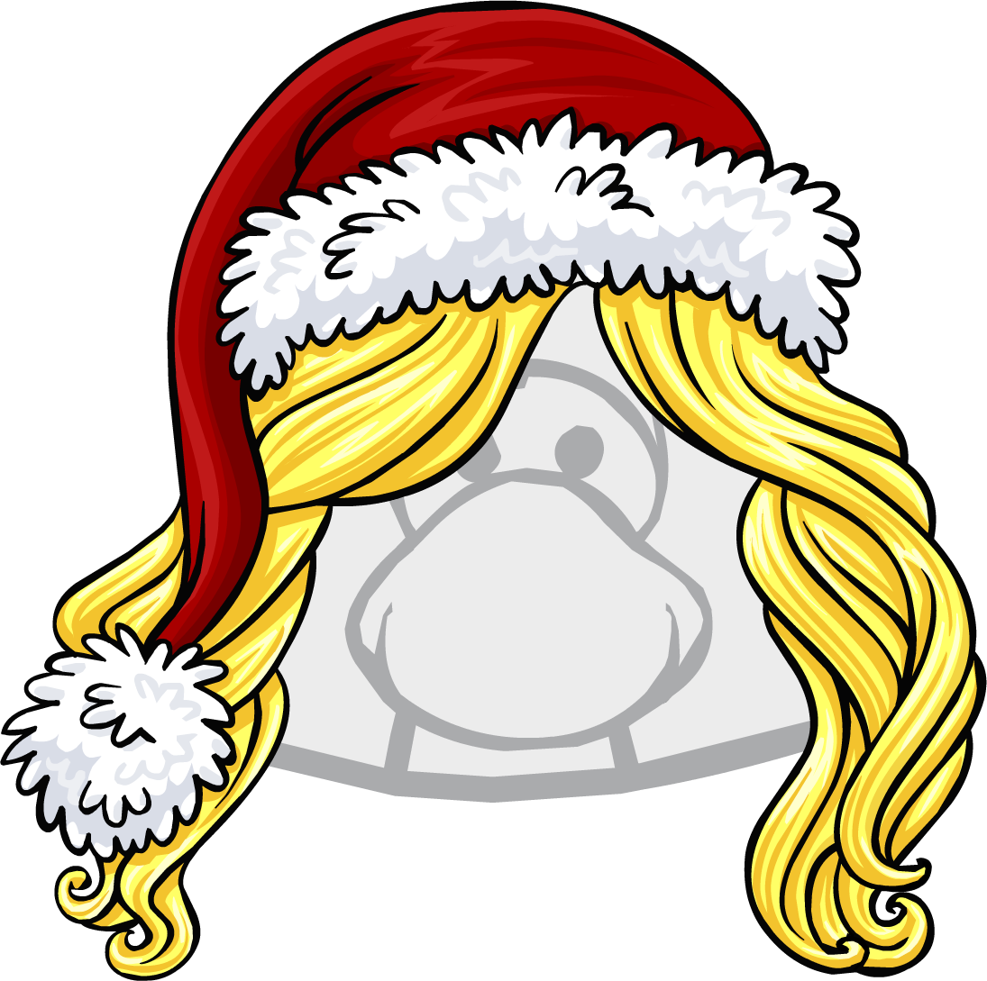 Drawn Santa Hat Club Penguin - Club Penguin The Flip (1095x1089)
