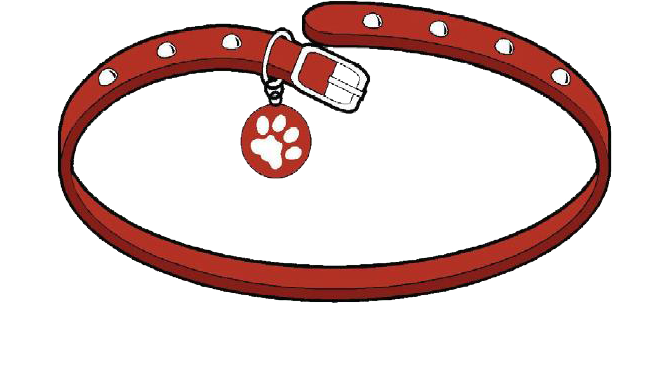 Spectrum Brands - Spectrum Brands (662x388)