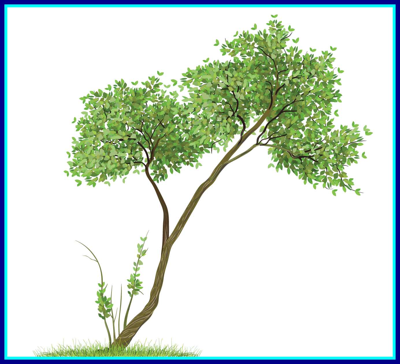 Appealing Transparent Tree Png Clipart Print Image - Transparent Tree (1385x1262)