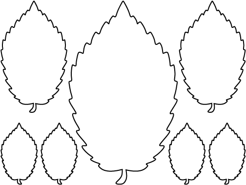 Printable Elm Leaf Template Leaf Outline Drawing Hawthorn - Elm (550x425)